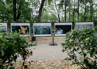 Алюминиевая Ассоциация наводит мосты