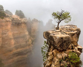Нельзя "исправить" налоговый период в платежках по НДФЛ с 2015 на 2018 год