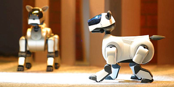 ИИ-стартап из Китая Aibee планирует привлечь $100 млн