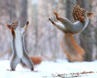 Самозанятый работает через посредника: надо ли применять ККТ и кому