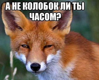 Аудиторские ОЗО-фирмы будут ежегодно брать в ОВД справки на каждого аудитора