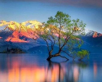 Сегодня вечером состится вебинар для аудиторов о влиянии климатических изменений