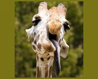 Наиболее важные новости недели 5-9 июля 2021 года