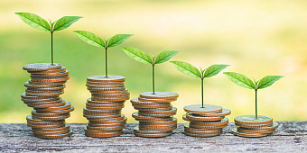 Второй по величине ETF для ESG-инвестиций потерял 91% активов за два дня