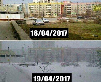 Срок регистрации изменения ОКВЭД в электронном виде сократился в два раза