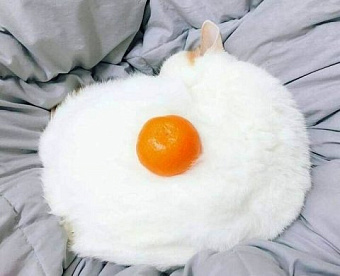 Сегодня и оставшиеся дни недели будут насыщенны мероприятиями для аудиторов