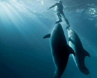 Глава ФНС напомнил, как поддержали бизнес в условиях санкций