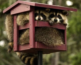 Наиболее важные новости недели 27 июня - 1 июля 2022 года