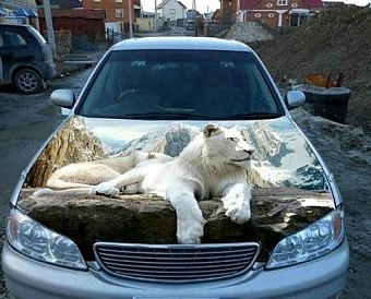 Суды разрешили вычет НДС по кассовым чекам на бензин без счетов-фактур