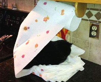 ФНС назвала случай, когда при УСН декларацию по НДС можно подать на бумаге