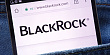 BlackRock вложила в стратегии устойчивого развития $509 млрд в 2021 году