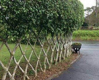 В 1 чтении принято упрощение подтверждения нулевой ставки НДС для экспортеров