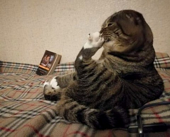 Отказ от УСН носит уведомительный характер: оповещать ИФНС не обязательно в срок