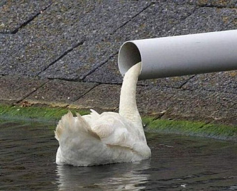 Завтра (23-го) и 25 марта пройдут два вебинара СРО ААС, посвященных бухучету