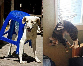 Сервис для госрегистрации юрлиц теперь позволяет внести изменения в ЕГРЮЛ