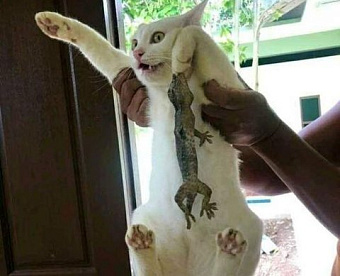 Наиболее важные новости недели 14 - 17 июня 2022 года