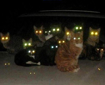 Некоторое количество МСА будут заменены на пересмотренные - проект