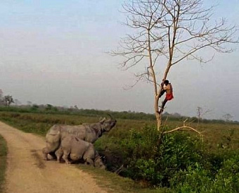 ФСС призывает страхователей пораньше подавать заявления по предупредительным мерам