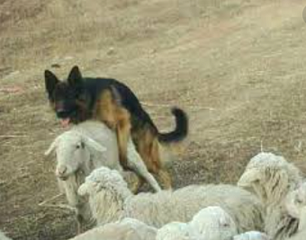 Правительство и бизнес договорились об изменении налога на прибыль